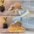 files/S26203eec56c040b0b221462a0db9fb5cY.jpg