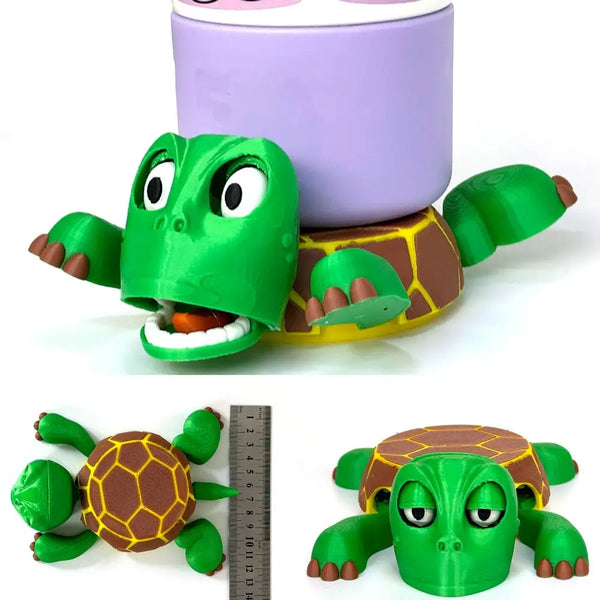 Turtle Coaster