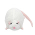 files/S58338edb7d624c97825a96fb1c1a688dP.webp
