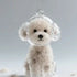 files/Sac3bca90a6c24a59a336af3bc400485dX.webp