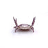files/Sc93e5a87546a4c9da2e00f392892cc15V.webp