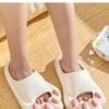 Soft Cat Claw Slippers