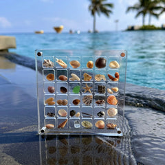 ORIGINAL DESIGN - Acrylic Magnetic Seashell Display Box