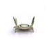 Stationery Crab Holder