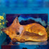 products/H5dafa0df5a6249c38e7efe2436019106f.jpg