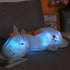 products/Ha61238e72b5647c5abe71c01f17d1117a.jpg