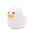 products/S2193d888bc334cfda6e0cbd20ddd4271L.jpg