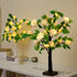products/S4024e6e46c3249e3a31a0c18e92aa739B.jpg